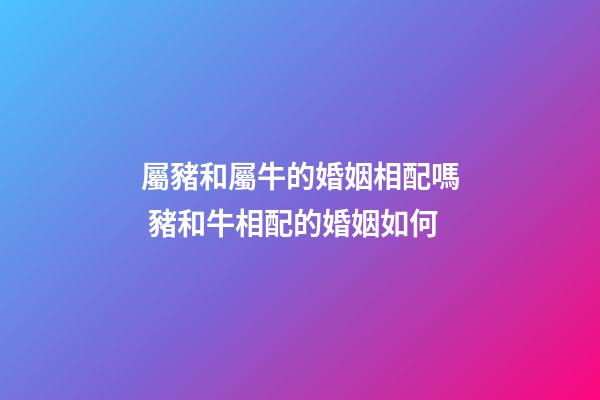 屬豬和屬牛的婚姻相配嗎 豬和牛相配的婚姻如何